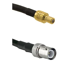 fieldcomponents202607191856072524780