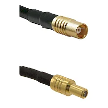 fieldcomponents202607191904462527289