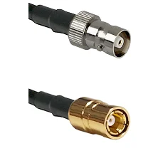 fieldcomponents202607191936322536922