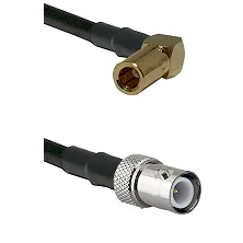 fieldcomponents202607191956232541813