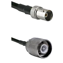 fieldcomponents202607192027142546484