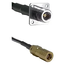 fieldcomponents202607192058032552303
