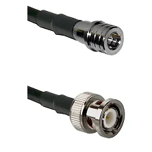 fieldcomponents202607192104032553452