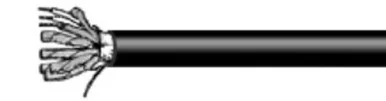 prowireandcable202607171706191818046