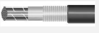 prowireandcable202607171726341822105