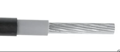 prowireandcable202607172019361857795
